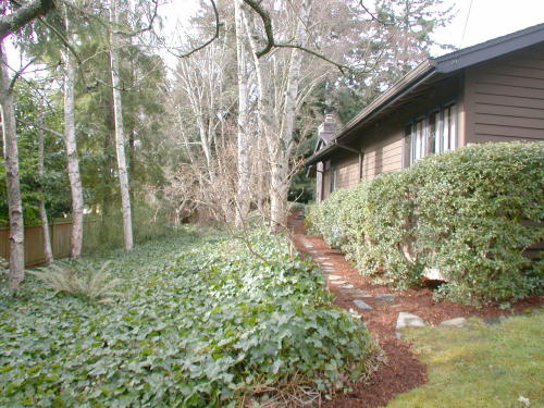 Lower level fireplace